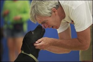 Rainn, a 4-month-old lab, licks his owner's face, Gary White, during a recent training program at the Assistance Dogs of America Inc. campus in Sylvania.