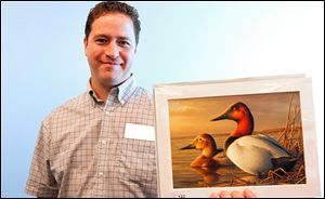 Adam Grimm, an Elyria, Ohio, native, won the 2013 Federal Duck Stamp contest with his oil painting of a pair of canvasbacks. 