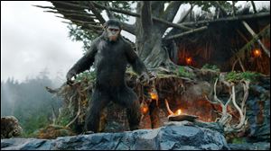 Andy Serkis as Caesar in a scene from the film, ‘Dawn of the Planet of the Apes.’