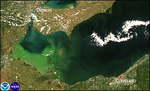 Satellite image of the 2013 algae bloom on Lake Erie.  