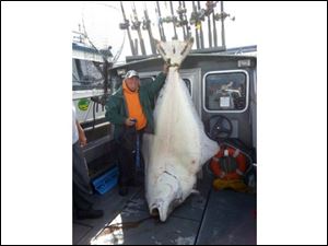 6-year-old Jack McGuire of Santa Ana caught a 482-pound Pacific halibut in Alaska.