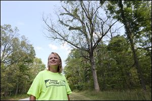 Amy Stone, educator with the Ohio State University Extension Office of Lucas County, stands near oak trees damaged by gypsy-moth caterpillars. Gypsy moths are a non-native, invasive pest capable of destroying trees and shrubs.