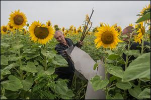 Miners inspect debris from the downed Malaysia Airlines plane in Grabovka, Ukraine.