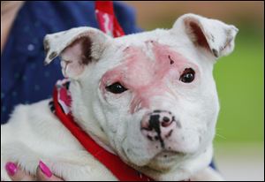 Helen was found five weeks ago in East Toledo with a face so swollen her eyes were forced shut.