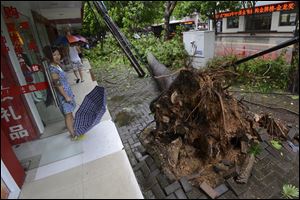 A woman looks at a tree uprooted by Typhoon Rammasun in Nanning in south China's Guangxi Zhuang Autonomous Region.