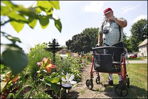 Dave Gilbert of Toledo examines his garden on Bellevue Road.  