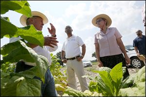 President Baldemar Velasquez, left, discusses the working condition differences between documented and undocumented migrants with AFL-CIO Executive Vice President Tefere Gebre, center, and U.S Rep. Marcy Kaptur (D., Ohio), right, while leading a tour Saturday  organized by the Farm Labor Organizing Committee, AFL-CIO (FLOC), of a tobacco worker's home and a tobacco field near Dudley, North Carolina. 