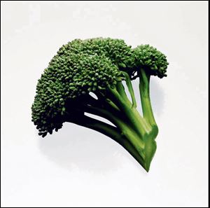 A study that Thomas Kensler and his team began at Johns Hopkins University and completed at the University of Pittsburgh School of Medicine found that a molecule generated during broccoli consumption, and with higher concentrations found in broccoli-sprout tea, helps purge the body of air-pollution toxins, including carcinogenic benzene. The molecule works rapidly and with staying power.