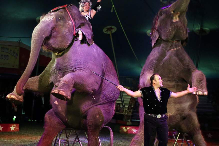 CTY-Circus05pArmando-Loyal-and-his-elephants