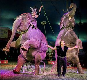Armando Loyal, circus elephant trainer and caretaker, and his elephants please the crowd.