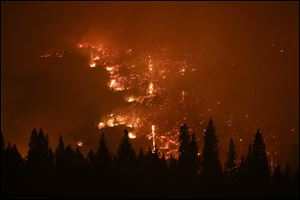 A forest smolders as the Rim Fire continues to burn near Yosemite National Park, Calif., in August, 2013.
