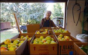 Sister Grace Ellen Urban stands near a table of apples grown in the Sisters of St. Francis' Garden for the Poor.
