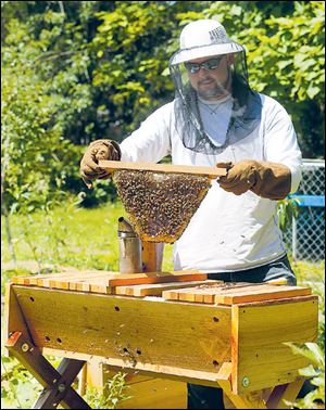 Horst shows off his new honey bee hive.