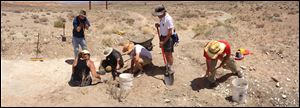 Volunteers work with the Utah Friends of Paleontology, the Bureau of Land Management, and the University of Colorado at Denver uncovering the track site north of Moab, Utah in June, 2013.