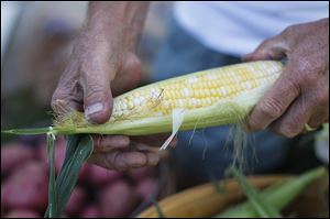 The U.S. Department of Agriculture estimates the corn crop to produce 14 million bushels of corn this year. Prices have tumbled to below $4 a bushel. The USDA predicts the same with soybeans too.