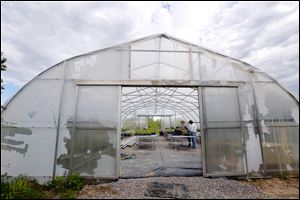 The Olander Park System greenhouse in Sylvania is seen here in June. In response to an alleged embezzlement case, the Olander Park System plans to establish formal procedures to safeguard against internal theft.