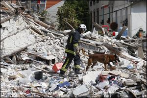 A French fireman and his dog search in the rubble of a building after an explosion collapsed it, in Rosny-sous-Bois, outside Paris, Sunday.