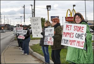 From right to left, Jeannie Crowder of Ottawa Lake, Mich., Bridgett Blank of Toledo, Connie Donald of Bowling Green, and Cindy Gilmore of Toledo protest the anniversary of the Family Puppy Store’s opening in Toledo on Saturday.