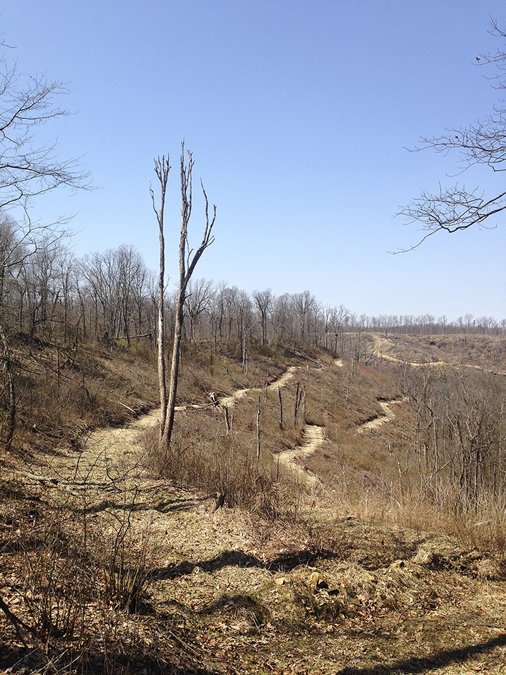 Protect Ohio’s forests The Blade