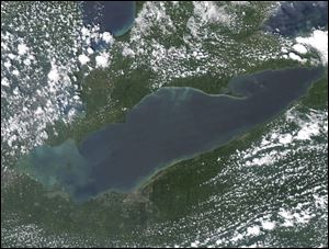 The algae bloom in Lake Erie on July 31. 