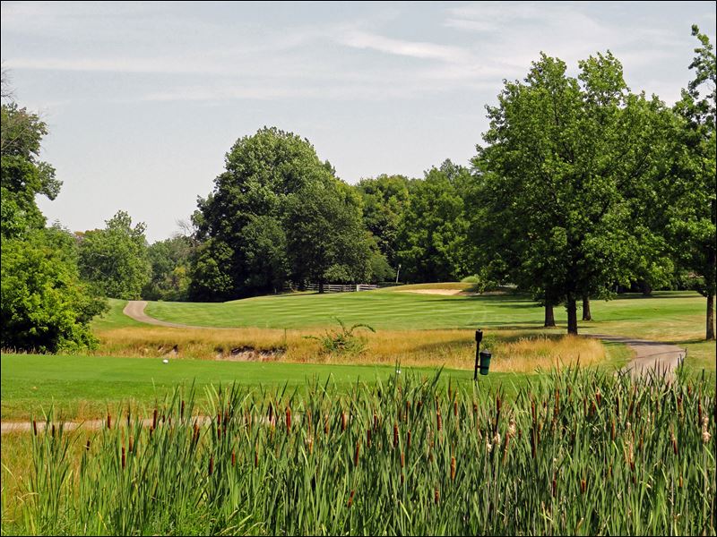 Brandywine to reconfigure main course Toledo Blade