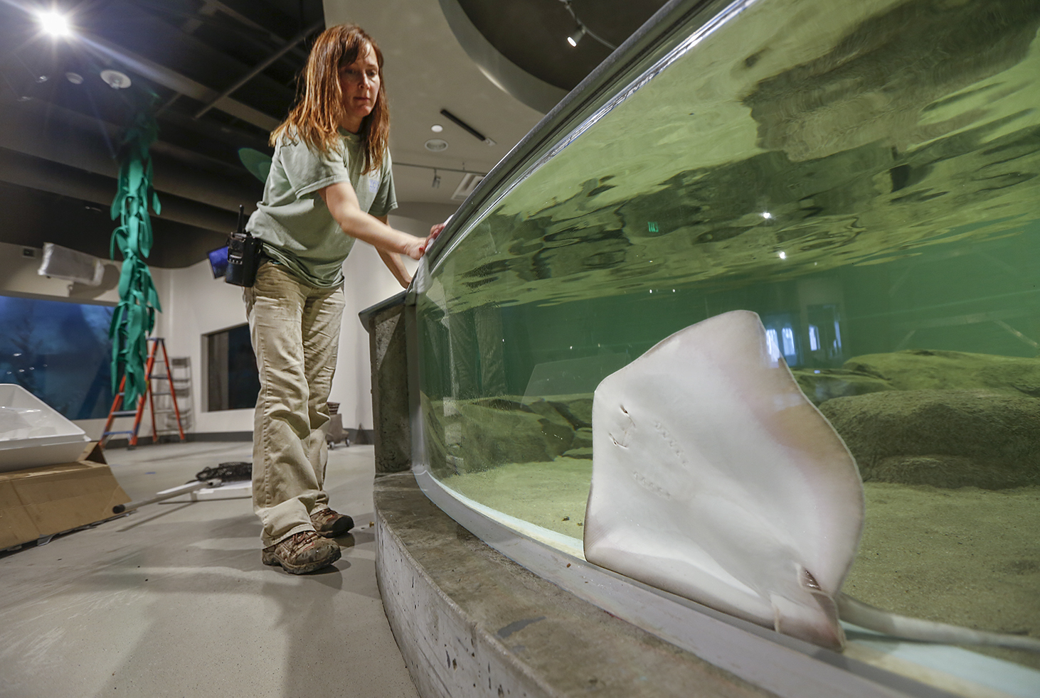 Historic Toledo Zoo aquarium reopening after major overhaul The Blade