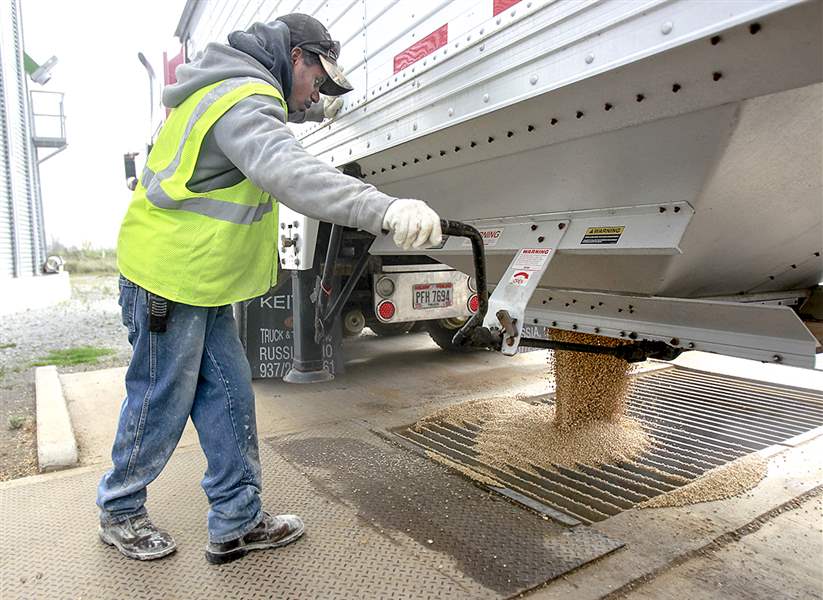 Corn and soybean output sets Ohio records The Blade