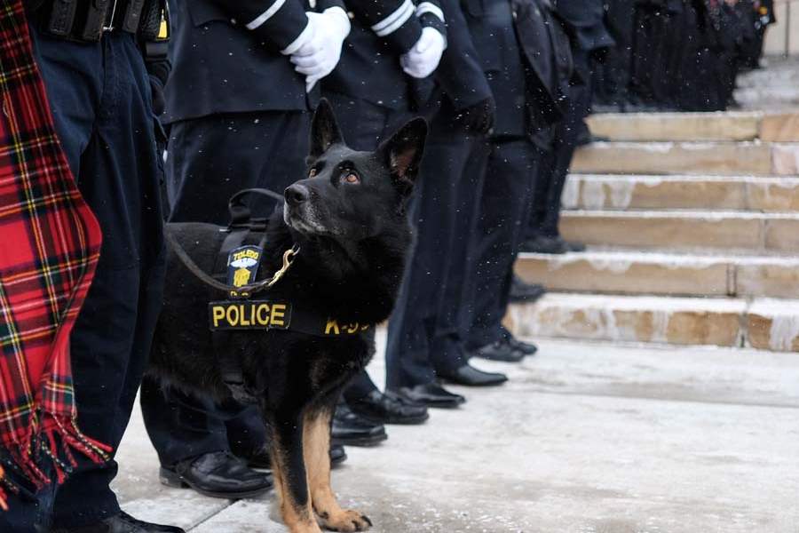 CTY-collinsfuneral-k9-tpd