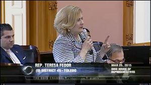 State Rep. Teresa Fedor discusses her personal experience with abortion on the House floor. 