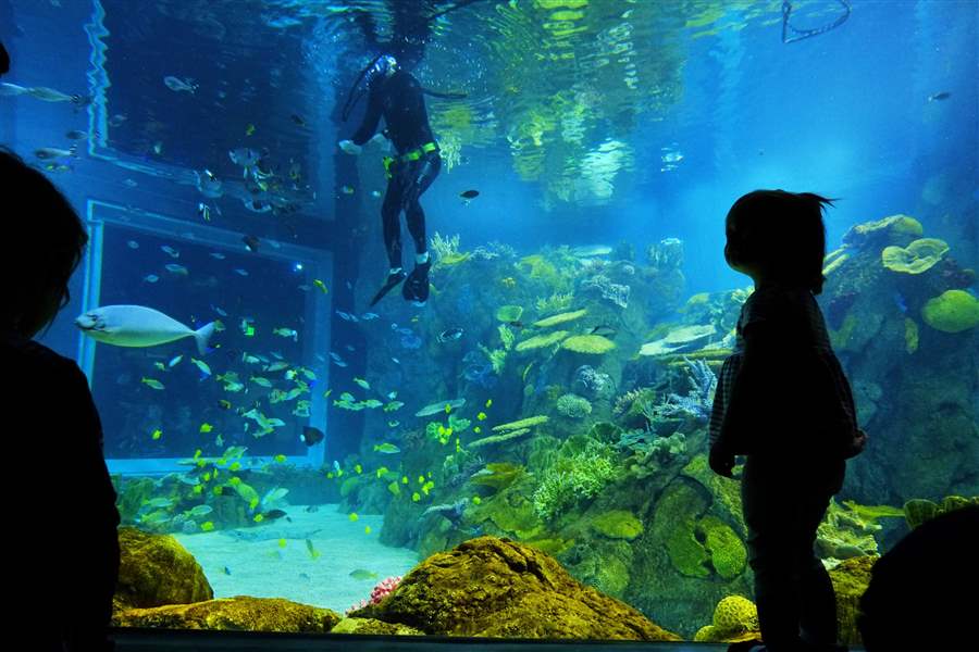 Toledo Zoo aquarium visitors The Blade