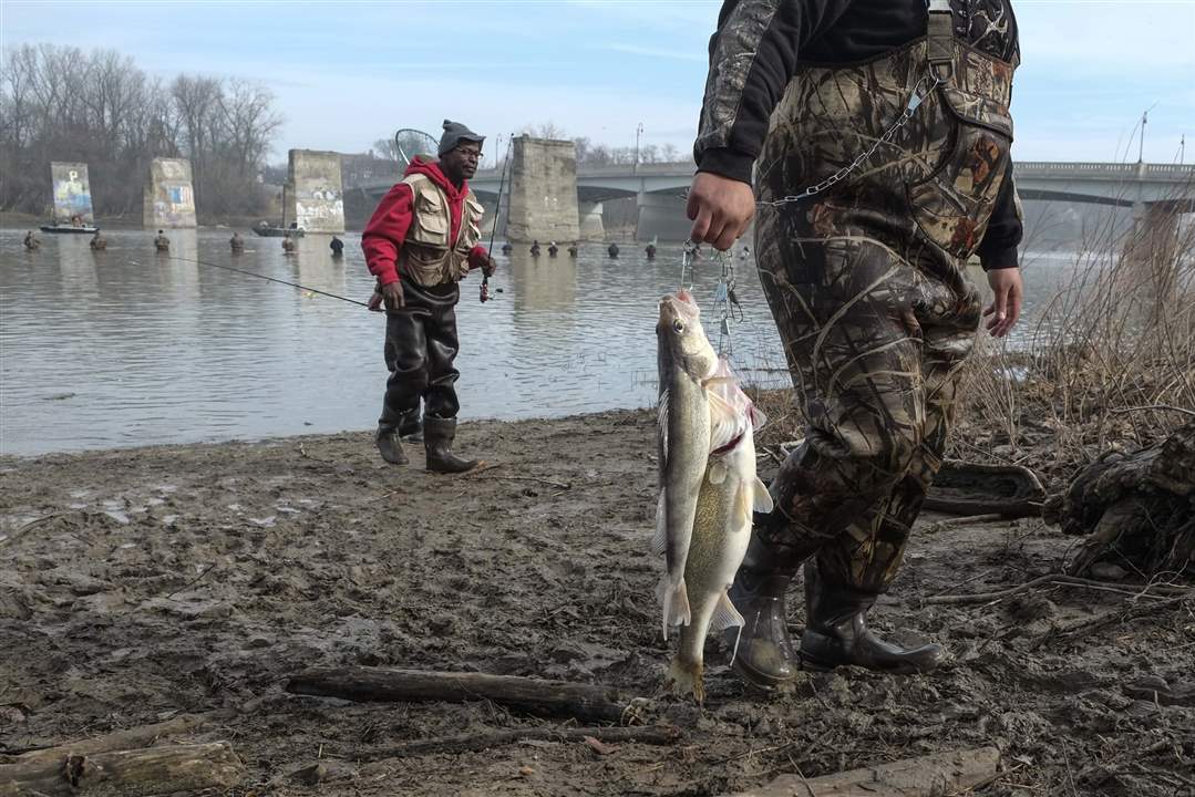 SPT-WALLEYERUN-pair-of-Walleye