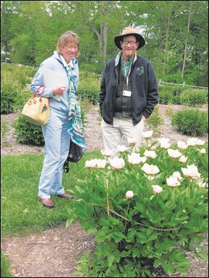 Vicki Koelsch of Metamora, Ohio, and David Michener take a stroll through the peony garden.