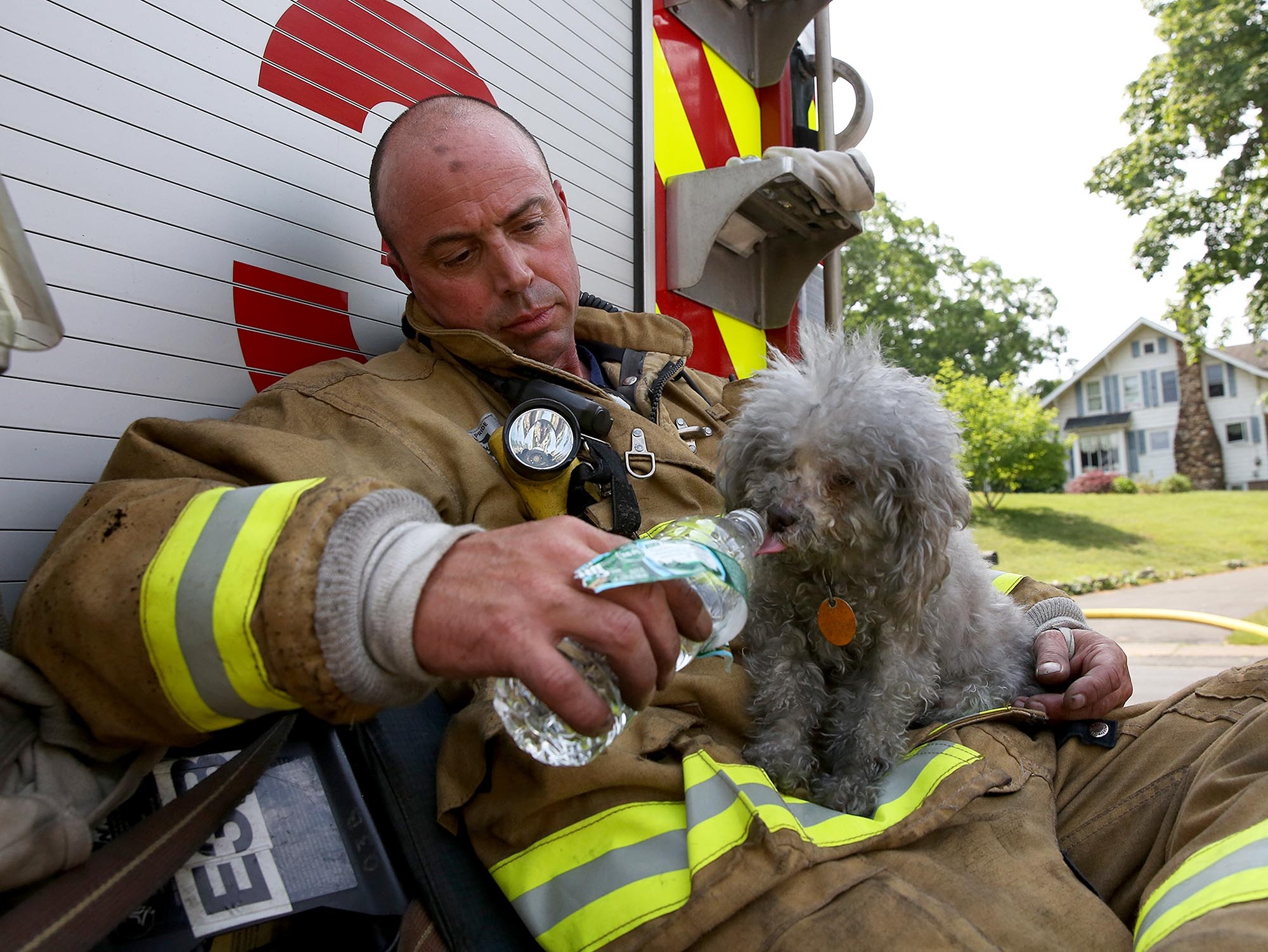 Conn. firefighter gives dog a drink after being rescued from blaze