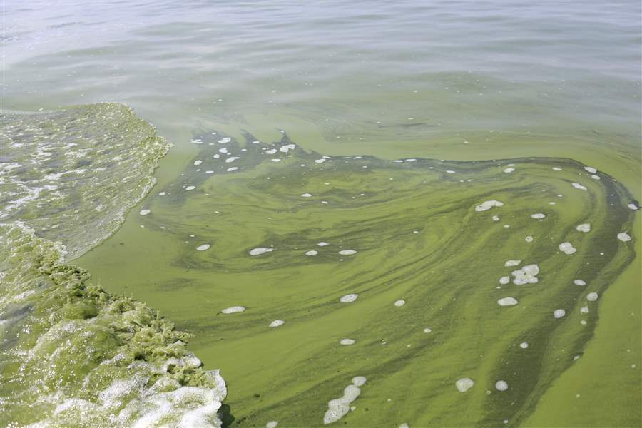 EPA-Algae-Blooms-3