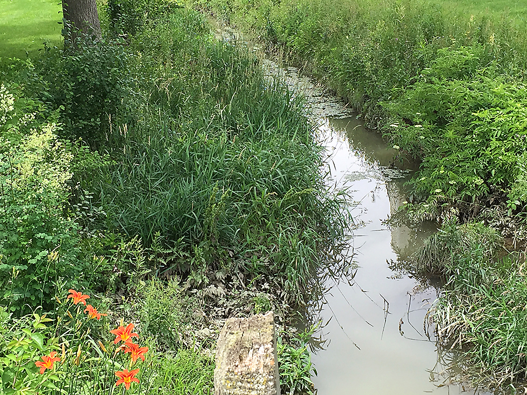 Grassy Creek to get more attention The Blade