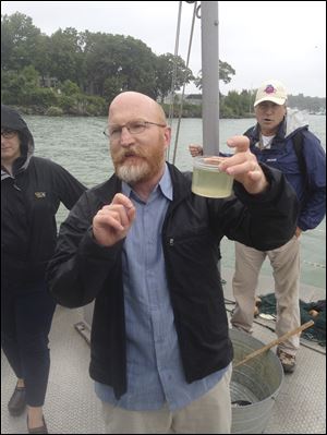 University of Toledo algae researcher Tom Bridgeman examines a microcystis sample from Lake Erie. 