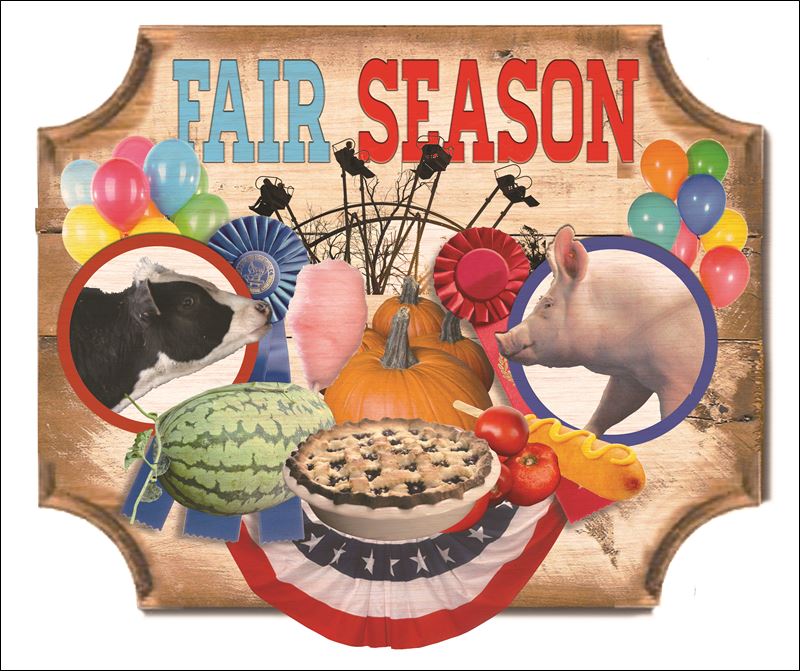 Summer kicks into high gear with county fairs - Toledo Blade