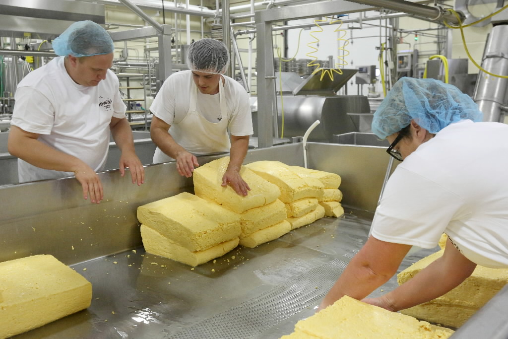 Say cheese! The Andersons’ huge Holiday Cheddar begins taking shape at