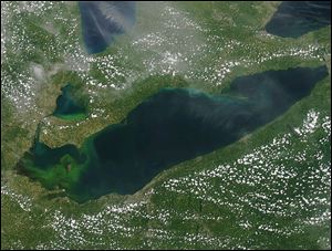 A large algal bloom is seen Tuesday from a MODIS satellite image around the Lake Erie islands and Port Clinton.