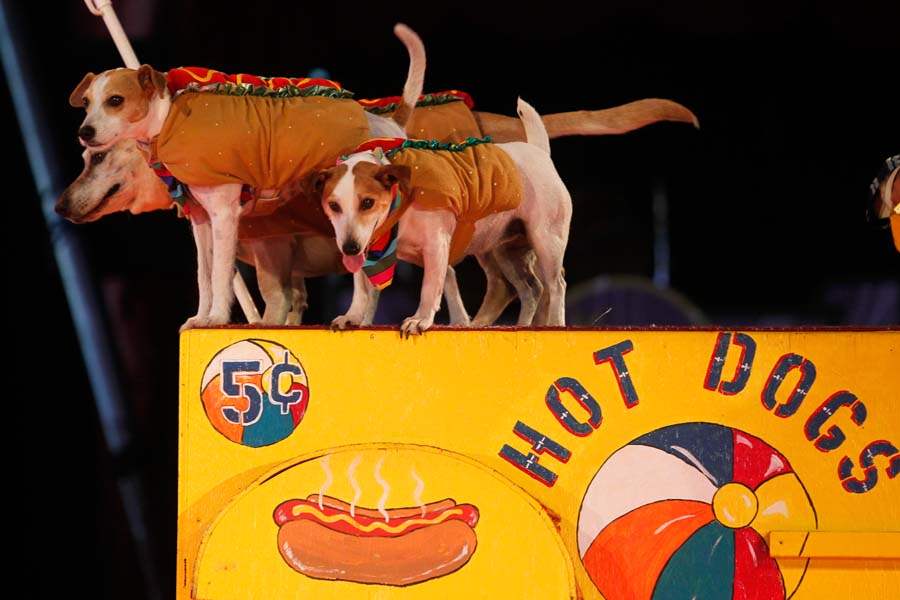 circus03p-Hot-Dogs