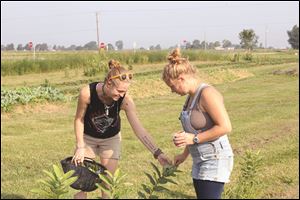Emily Matthews, left, and Emma Norton observe a caterpillar while picking produce at Schooner Farm in Weston, Ohio.