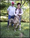 Found dogs often have mange