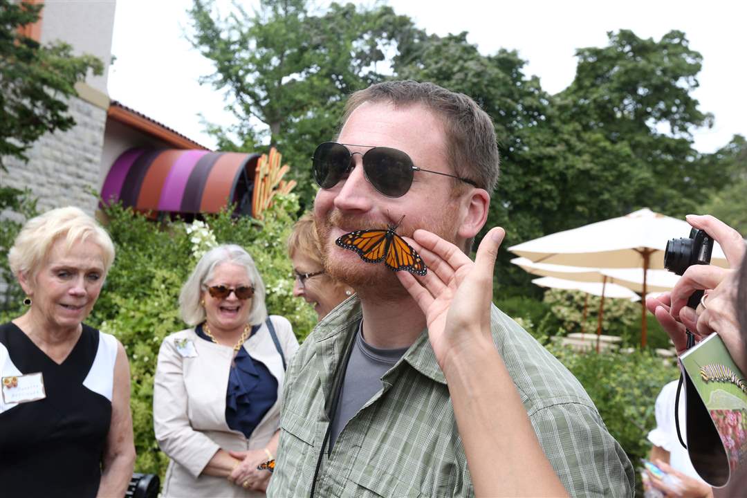 MONARCH12pThe-Toledo-Zoo-s-W