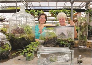 Mary Machon, left, and Rose Brancatto, of Bensell Greenhouse, show some examples of terrariums. 