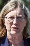 Collins promises more police