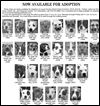 Lucas County Dogs for Adoption: 10-04