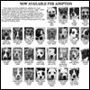 Lucas County Dogs for Adoption: 10-11