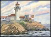 Local artists showcased at MVCD