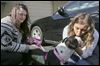 ‘Pit bull’ transfers to rescue rejected