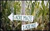 Prepare to be a-mazed